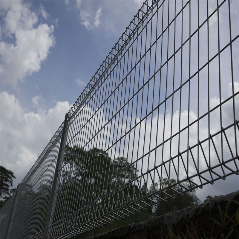 Jacaranda Fencing