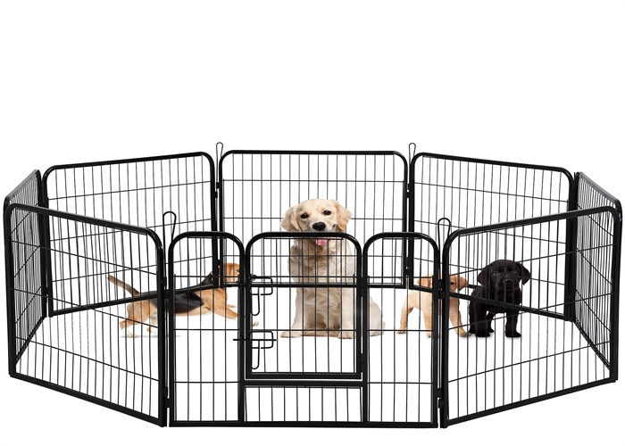 Temporary Dog Fence Canada: Ultimate Guide for Pet Safety.