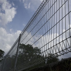 Jacaranda Fencing